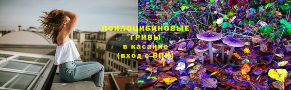 трава Алзамай
