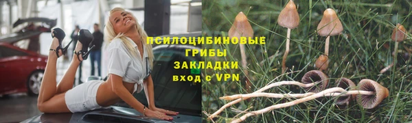 героин Алексин