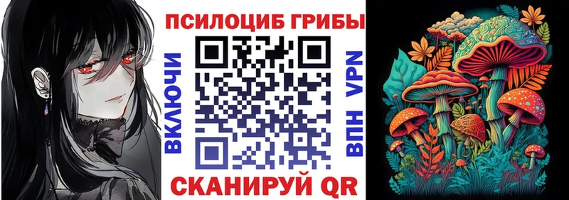 закладки  Котово  Галлюциногенные грибы ЛСД 